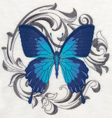 Ulysses Swallowtail with Baroque Background