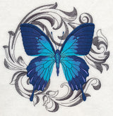 Ulysses Swallowtail with Baroque Background