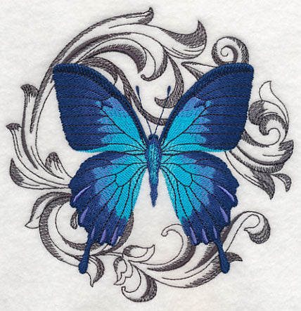 Ulysses Swallowtail with Baroque Background