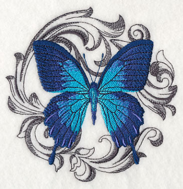 Ulysses Swallowtail with Baroque Background