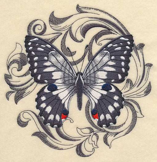 Chequered Swallowtail with Baroque Background