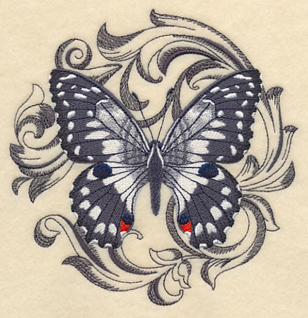 Chequered Swallowtail with Baroque Background