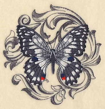 Chequered Swallowtail with Baroque Background