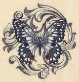 Chequered Swallowtail with Baroque Background