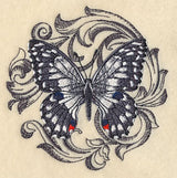 Chequered Swallowtail with Baroque Background