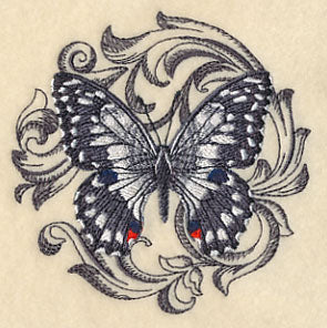 Chequered Swallowtail with Baroque Background