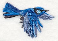 Splendid Fairy-wren in Flight