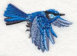 Splendid Fairy-wren in Flight