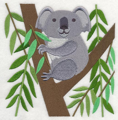 Koala and Eucalyptus