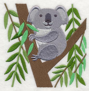 Koala and Eucalyptus