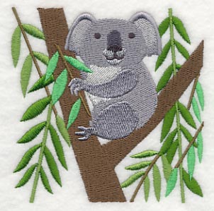 Koala and Eucalyptus