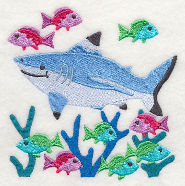 Blacktip Reef Shark and Reef Fish