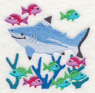 Blacktip Reef Shark and Reef Fish