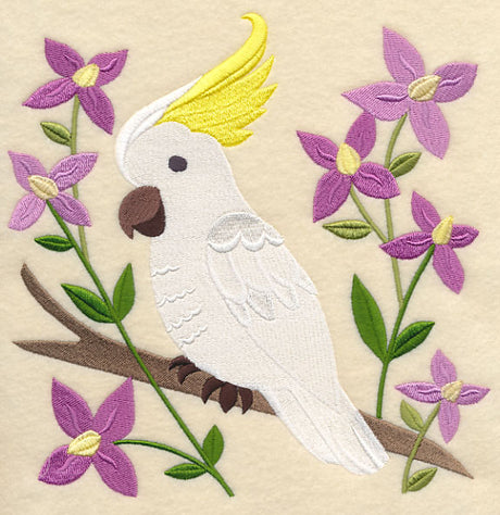 Sulphur-crested Cockatoo and Aniseed Boronia
