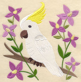 Sulphur-crested Cockatoo and Aniseed Boronia