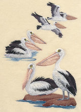 Australian Pelican Collage