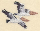 Australian Pelicans in Flight