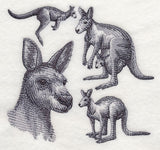 Kangaroo Sketch