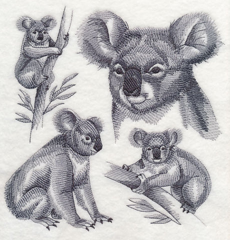 Koala Sketch