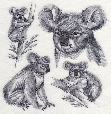 Koala Sketch