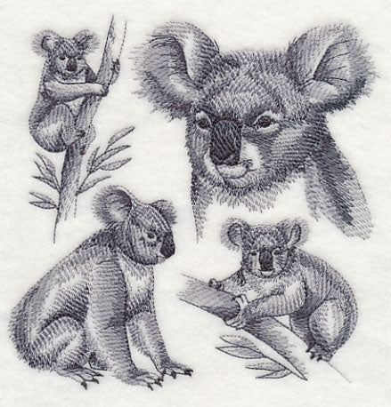Koala Sketch