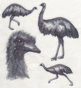 Emu Sketch