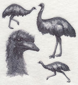 Emu Sketch