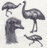 Emu Sketch