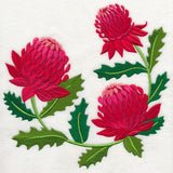 Waratah