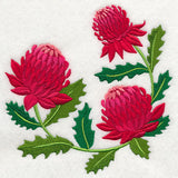 Waratah