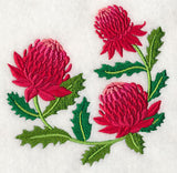 Waratah