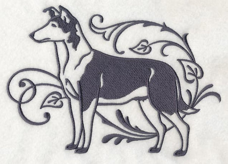 Graceful Smooth Collie