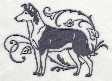 Graceful Smooth Collie