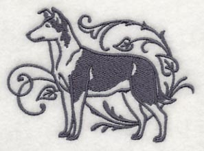 Graceful Smooth Collie