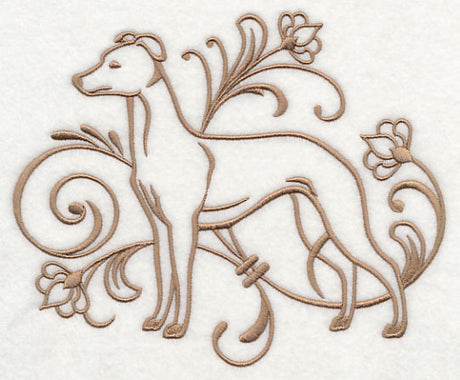 Graceful Whippet