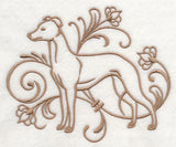 Graceful Whippet