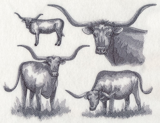 Texas Longhorn Sketch