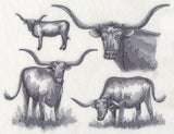 Texas Longhorn Sketch