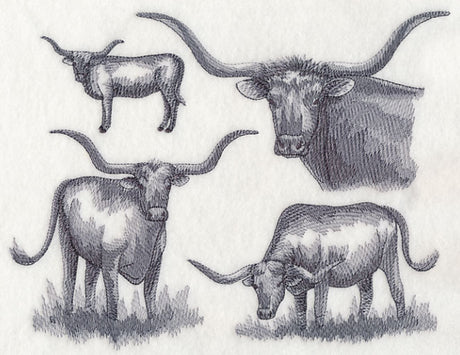 Texas Longhorn Sketch