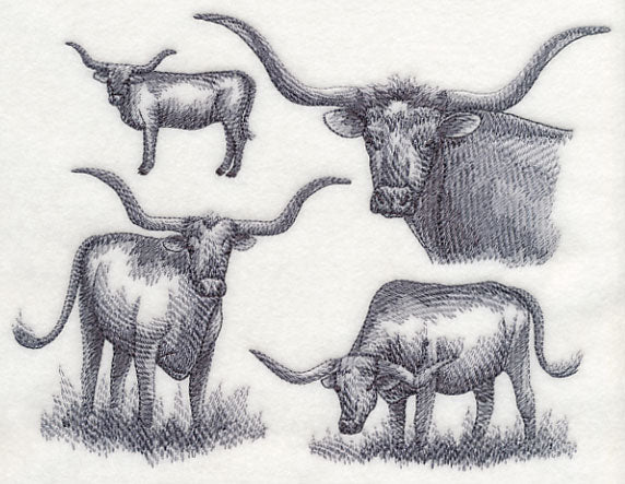 Texas Longhorn Sketch