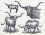 Texas Longhorn Sketch