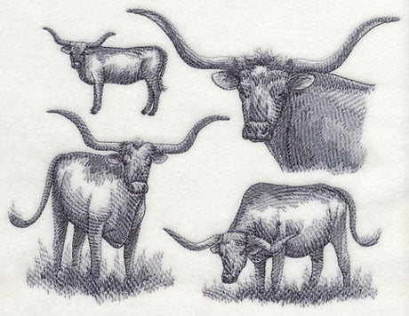Texas Longhorn Sketch