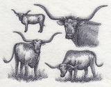 Texas Longhorn Sketch