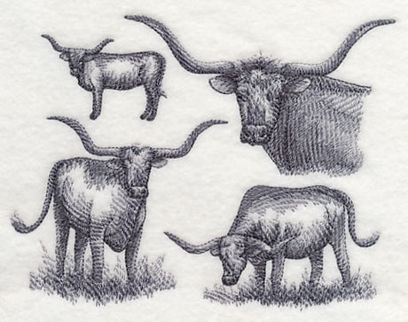 Texas Longhorn Sketch