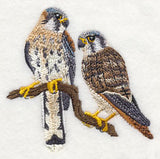 American Kestrel Pair