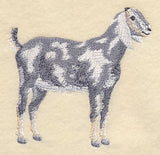 Nubian Goat 2