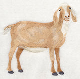 Nubian Goat 3