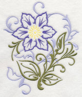 Clematis Filigree