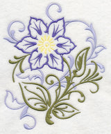 Clematis Filigree