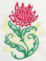 Waratah Filigree